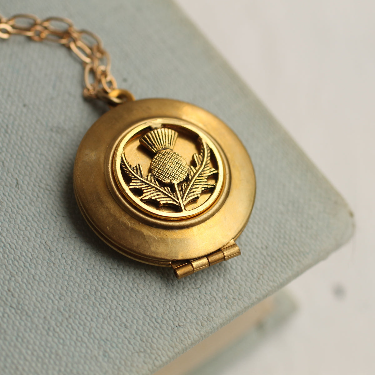 Gold Thistle Locket – Silk Purse, Sow's Ear