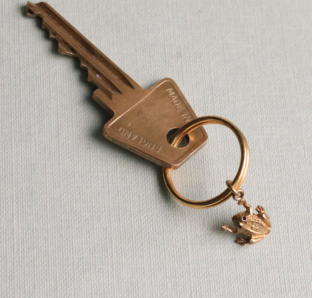 Tiny Frog Charm Keyring - Keyrings